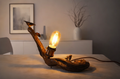 Organic Wooden Light by Kalaayan